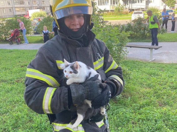 © ГУ МЧС России по Новгородской области