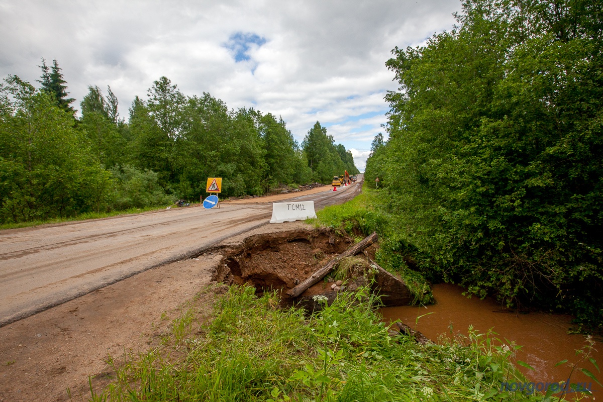 Любытино новгородская область фото