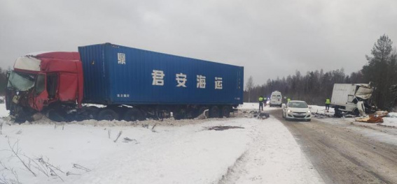 В Крестецком районе в ДТП погиб водитель грузовика