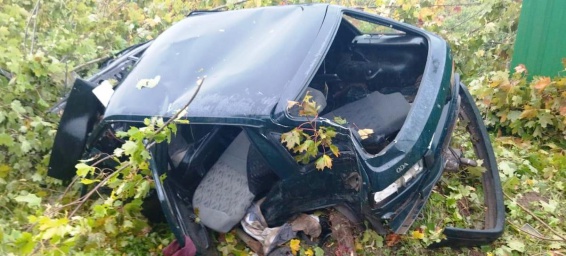 В Новгородском районе водитель съехал в кювет и врезался в дерево