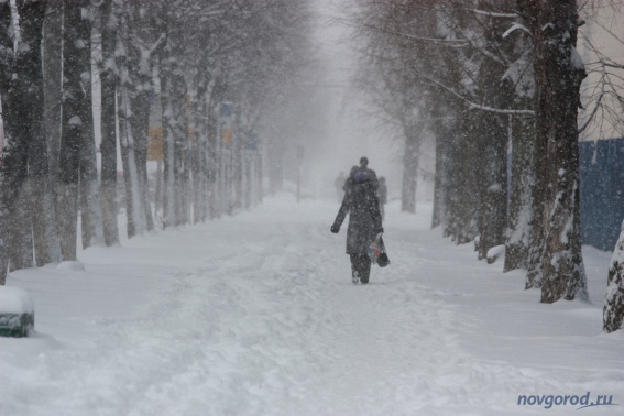 МЧС предупреждает новгородцев о снегопаде