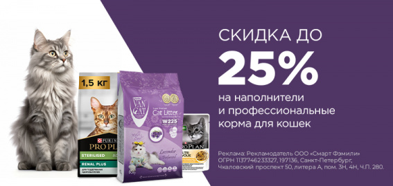 © Новости.Новгород.ру. 