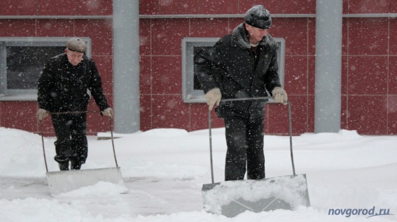 Сегодня ночью в Новгородской области ожидаются сильные снегопады