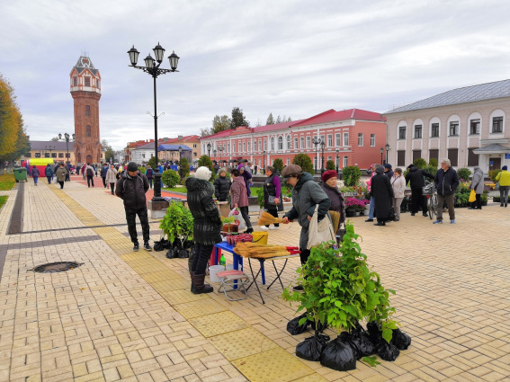 Более полусотни сельскохозпроизводителей приняли участие в осенней ярмарке в Старой Руссе