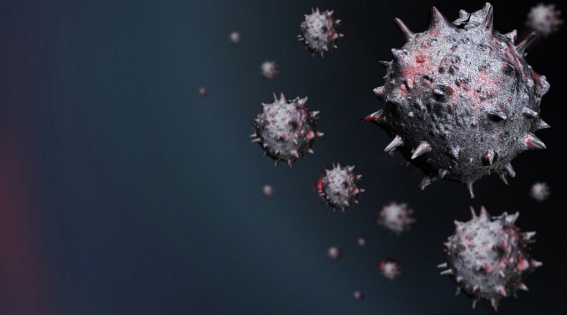 Ещё 29 новгородцев заразились коронавирусом