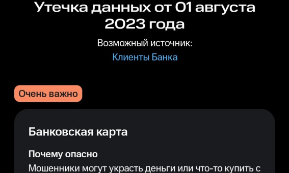 Новгородцы увидят похитителей своих персональных данных «в лицо»