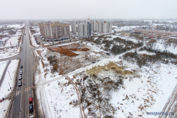 © Новости.Новгород.ру. 