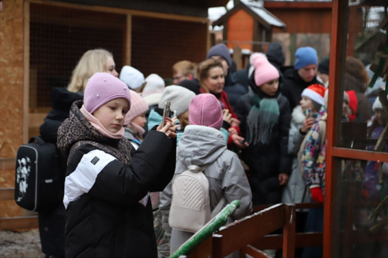 © Новгородский музей-заповедник