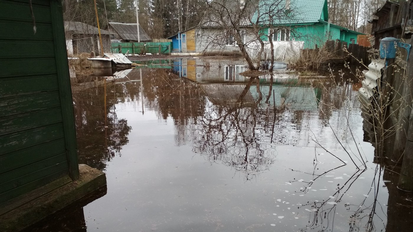 Погода песь хвойнинского новгородская область