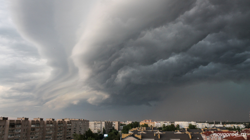 © Новости.Новгород.ру.