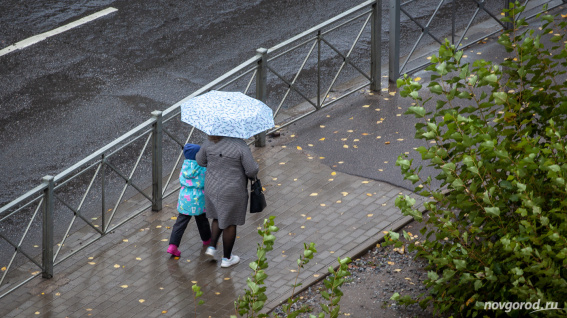 Дождливая погода вновь ожидается в Новгородской области