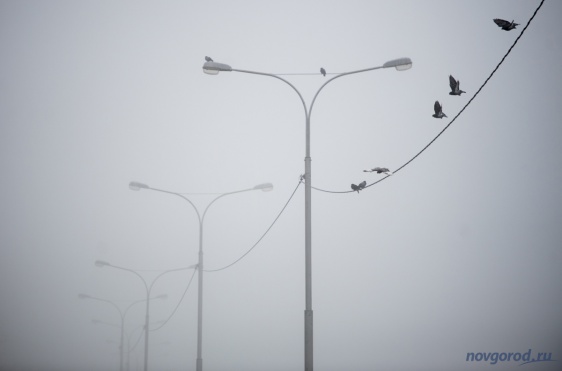 © Новости.Новгород.ру. 