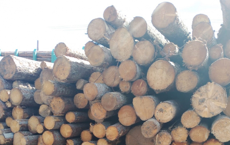 © Пресс-служба Северо-Западного межрегионального управления Россельхознадзора