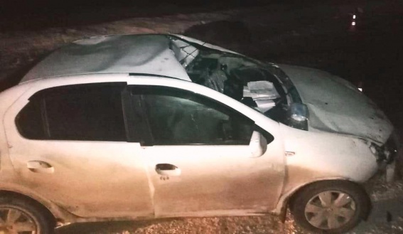 В Новгородской области водителя Renault увезли в больницу после наезда на лося