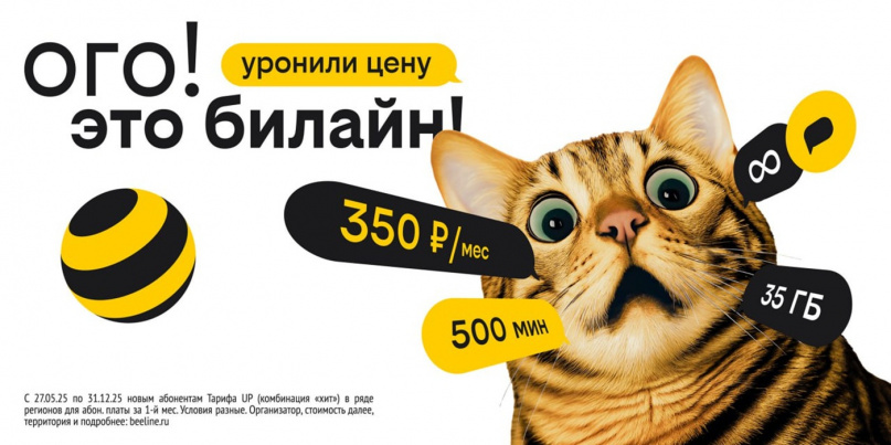 © пресс-служба Билайн