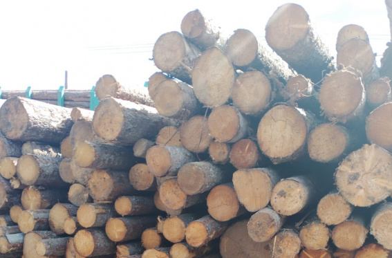 © Пресс-служба Северо-Западного межрегионального управления Россельхознадзора