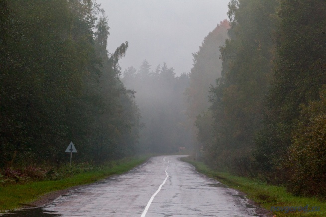 Дорога «Старая Русса — Парфино». © Фото из архива интернет-портала «Новгород.ру»