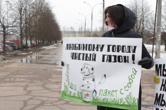 Жители Великого Новгорода на пикете выступили за создание площадок для выгула собак