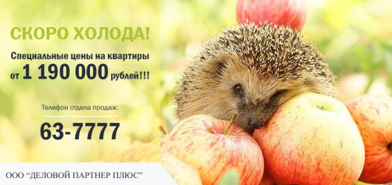 © Бизнес-новости Новгород.ру. 