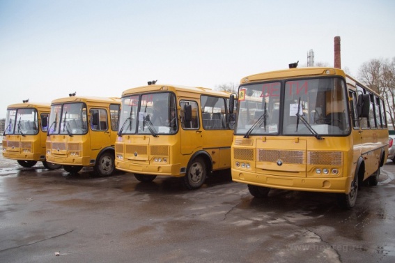 Автобусы ПАЗ для школ Новгородской области. © Пресс-центр правительства Новгородской области
