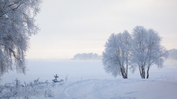 Ночное похолодание и небольшой снег ожидаются в Новгородской области в ближайшие дни