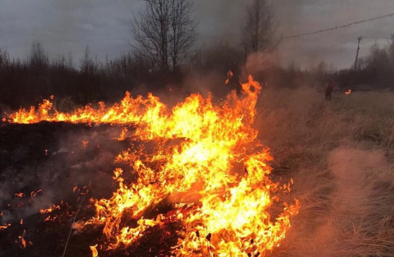 © ГУ МЧС России по Новгородской области