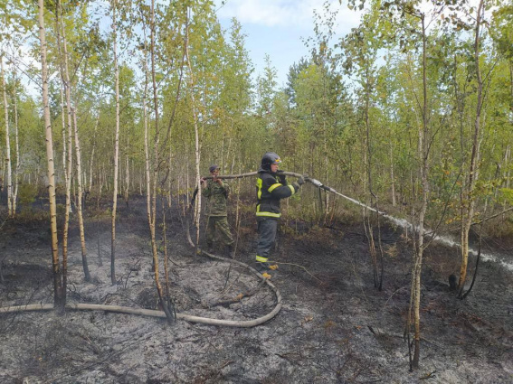 Пожарные потушили торфяной пожар недалеко от Тёсово-Нетыльского