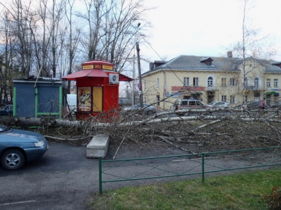 © Новости.Новгород.ру. 