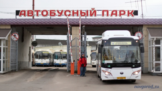 Новгородским перевозчикам не хватает водителей