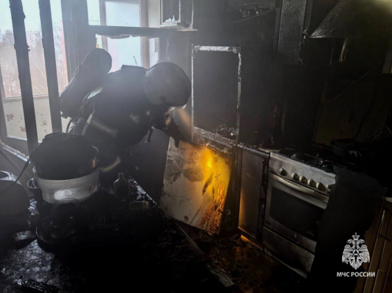 © ГУ МЧС России по Новгородской области