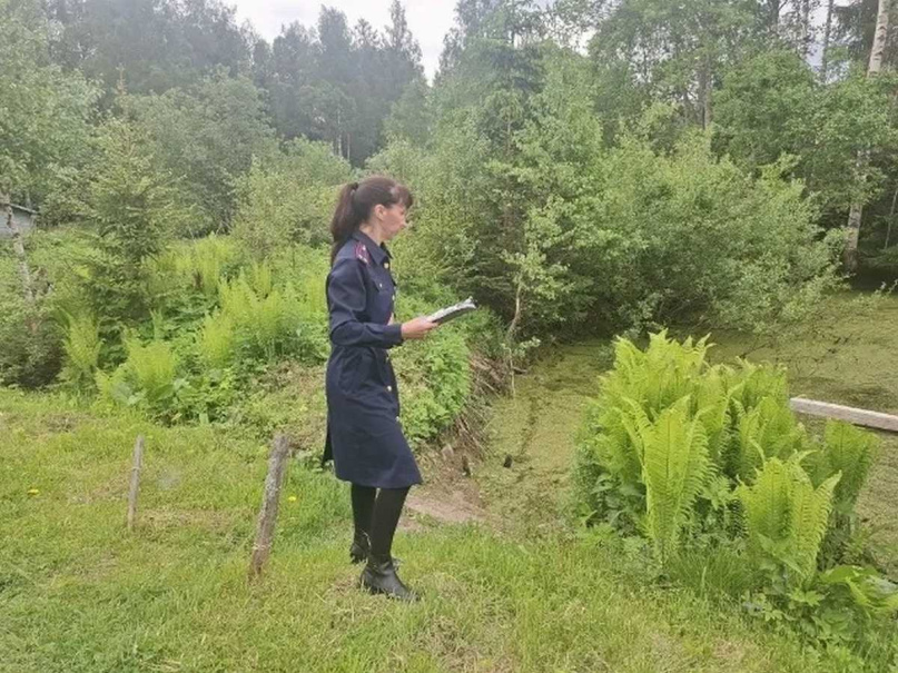 © СУ СКР по Новгородской области