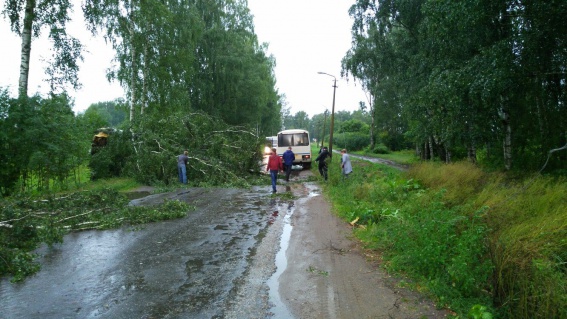 © Новости.Новгород.ру. 