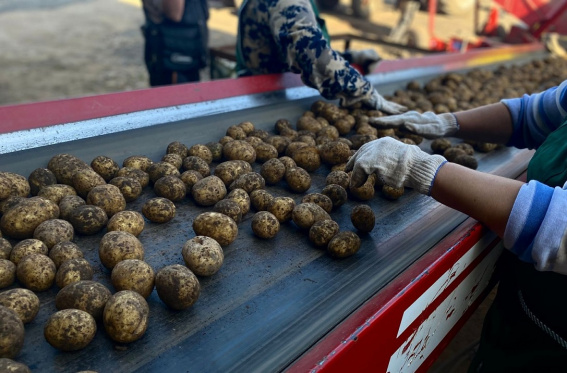 © Пресс-центр правительства Новгородской области
