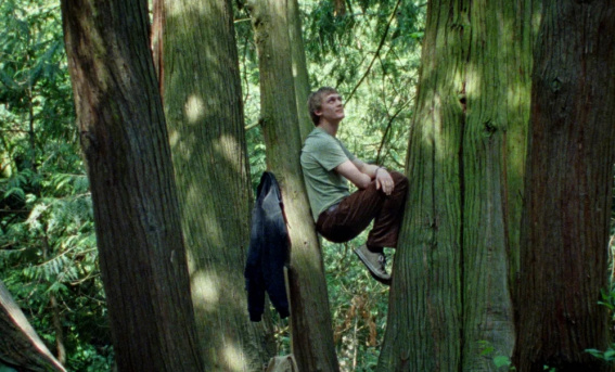 © Новости.Новгород.ру.