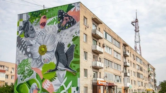 Девять новых муралов украсили фасады жилых домов в Новгородской области