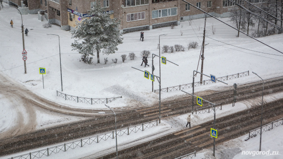В Новгородской области из-за непогоды без света остались 190 человек