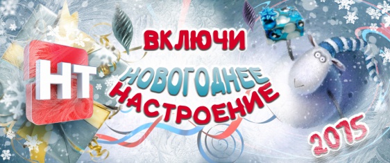 © Новости.Новгород.ру. 