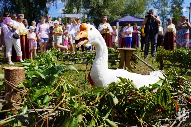 © Туристический офис «Русь Новгородская»