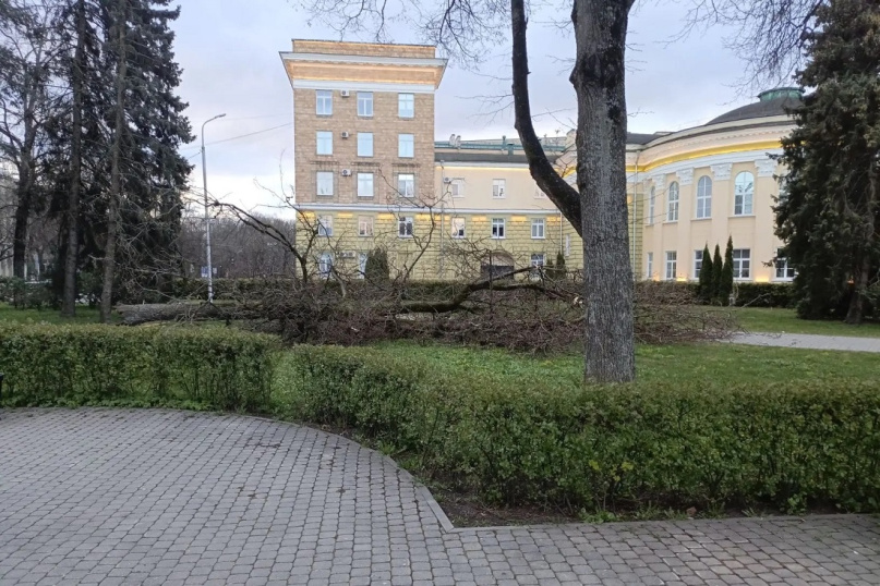 © МКУ «Городское хозяйство»