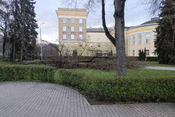 © МКУ «Городское хозяйство»