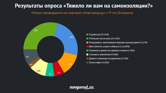 «Я больше так не могу» — результаты опроса «Новгород.ру» о трудностях самоизоляции
