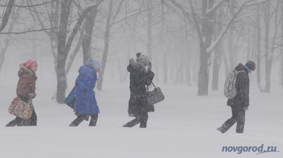 Послезавтра в Новгородской области ожидается мокрый снег