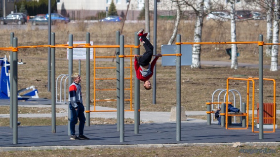 В парке Юности планируют обустроить площадку для фитнеса и установить скамейки