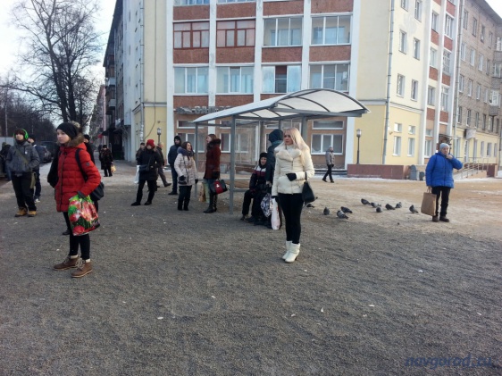 © Новости.Новгород.ру. 