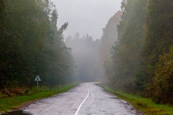 Дорога Старая Русса — Парфино. © Фото из архива интернет-портала «Новгород.ру»