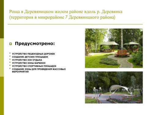 Проекты для благоустройства двух берёзовых рощ в Великом Новгороде разрабатывали студенты НовГУ