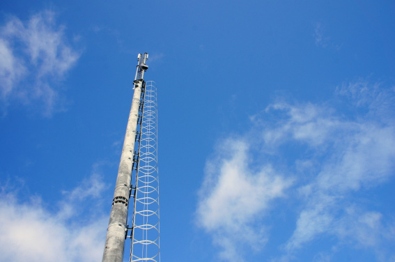 © Новости.Новгород.ру. 