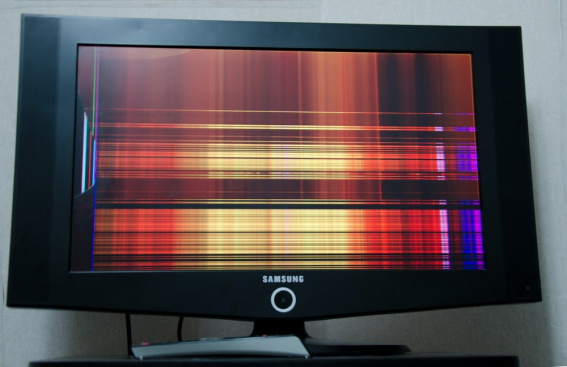 © Новости.Новгород.ру. 