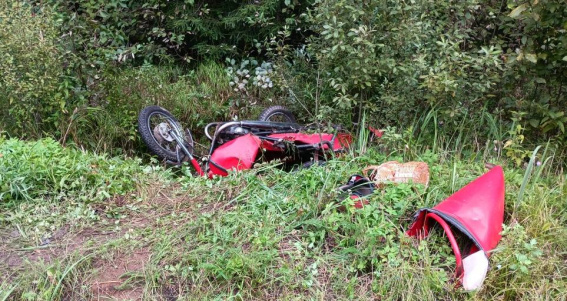 © УГИБДД России по Новгородской области