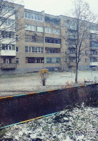 © Новости.Новгород.ру. 